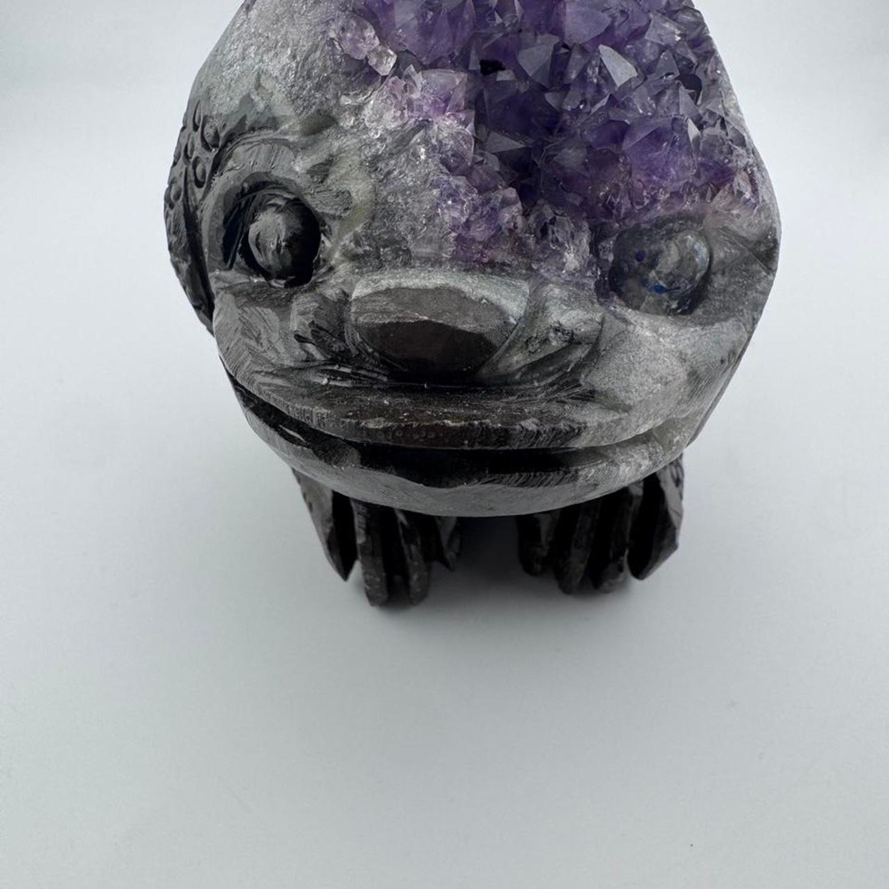 Amethyst cluster Money toad